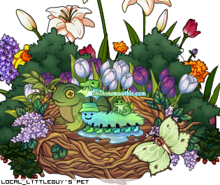 Dressed pet