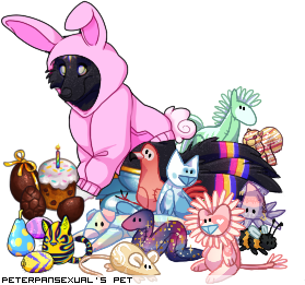 Dressed pet