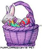 Dressed pet