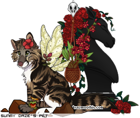 Dressed pet
