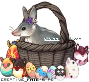 Dressed pet