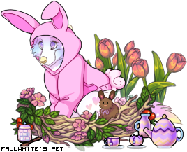 Dressed pet