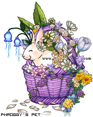 Dressed pet