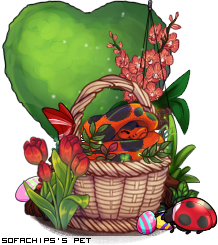 Dressed pet