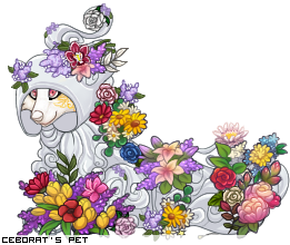Dressed pet