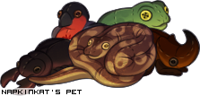 Dressed pet