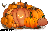 Dressed pet