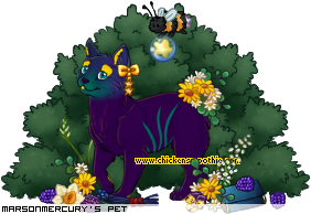 Dressed pet
