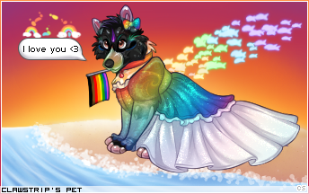 Dressed pet