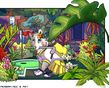 Dressed pet