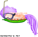 Dressed pet