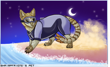 Dressed pet