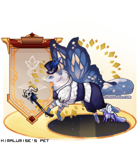Dressed pet