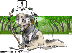 Dressed pet