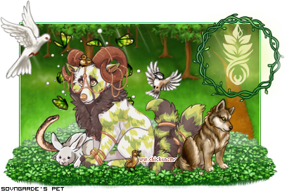 Dressed pet