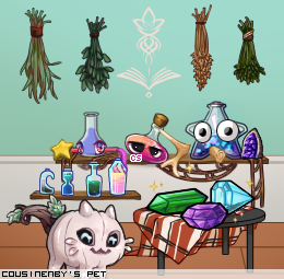 Dressed pet