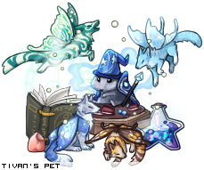 Dressed pet