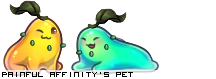 Dressed pet