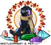 Dressed pet