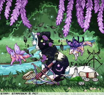 Dressed pet