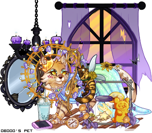 Dressed pet