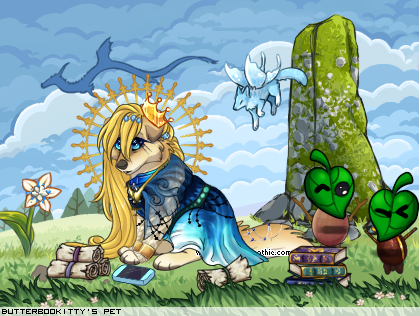 Dressed pet