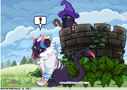 Dressed pet