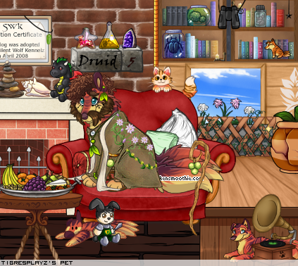 Dressed pet