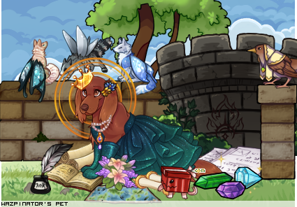 Dressed pet