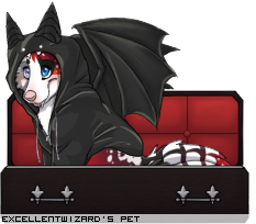 Dressed pet
