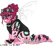 Dressed pet
