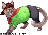 Dressed pet