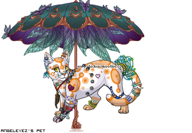 Dressed pet
