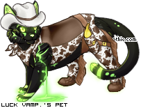 Dressed pet