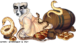 Dressed pet