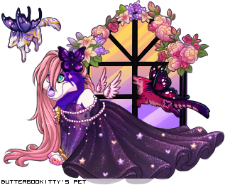 Dressed pet