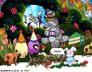 Dressed pet