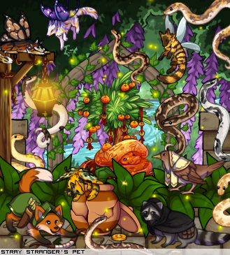 Dressed pet