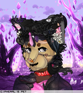 Dressed pet