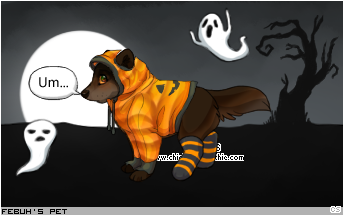 Dressed pet