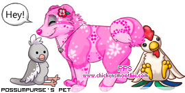 Dressed pet