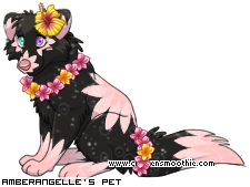 Dressed pet