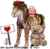 Dressed pet