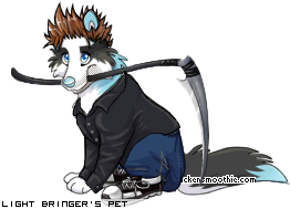 Dressed pet