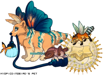 Dressed pet