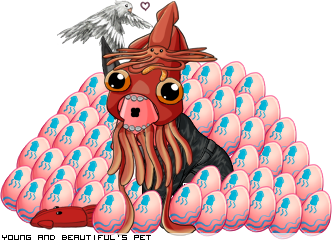 Dressed pet