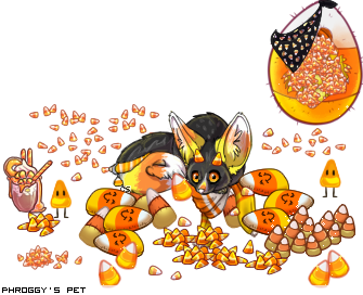 Dressed pet