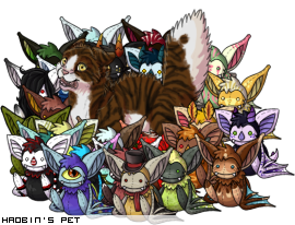 Dressed pet
