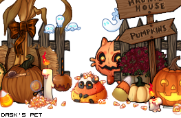 Dressed pet