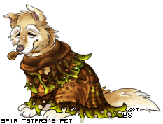 Dressed pet